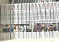 Jujutsu Kaisen en Espanol. Coleccion. 0 a 21.  Manga en ESPAÑOL. Panini. Origina